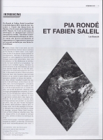 http://www.piarondefabiensaleil.com/files/gimgs/th-100_100_artpress1.jpg